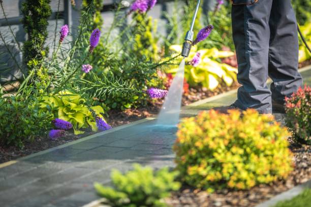 Best Sidewalk and Walkway Cleaning  in Pleasant Hill, MS
